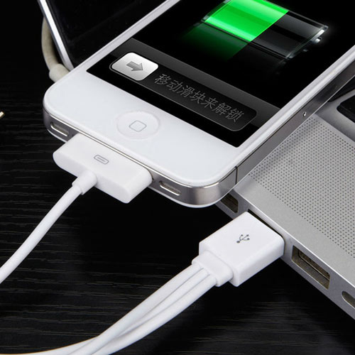4 в 1 для Samsung Galaxy Tab 30pin+Apple 30pin+Apple 8-pin+MicroUSB Cable for iPhone 5 4 4S For iPad. Купить с доставкой в Киев, Одесса, Николаев, Черкассы, Хмельницкий, ЧЕрнигов, Мариуполь.