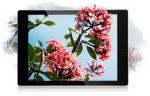 Планшет Prestigio MultiPad 4 Diamond 7.85 3G, PMT7077_3G, 8 дюймов, 3G, GPS, (кож.чехол,OTG каб)